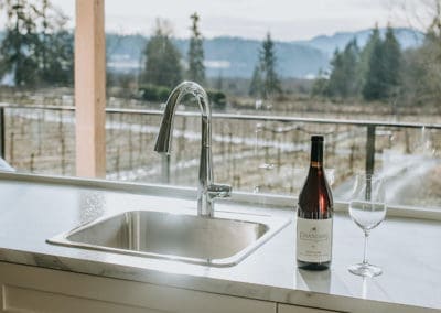 view of Somenos Lake from kitchen