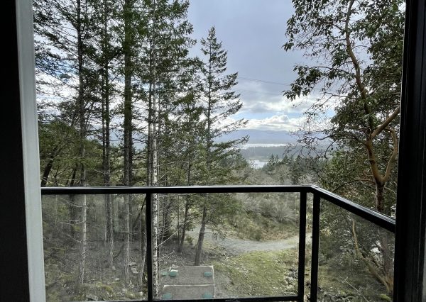 Custom carriage home overlooking the Cowichan Valley