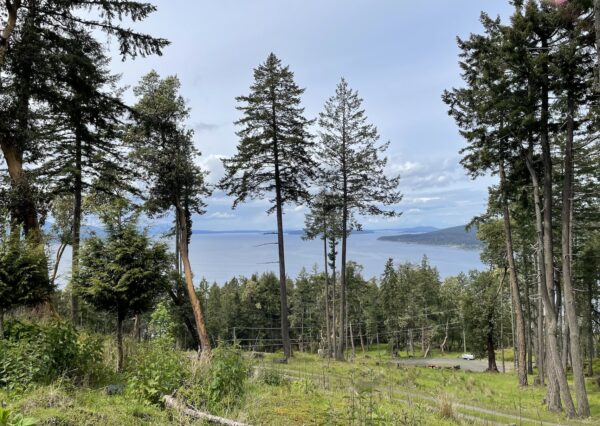 Salt Spring custom home property view