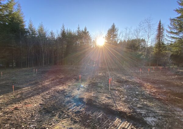 Custom home build site