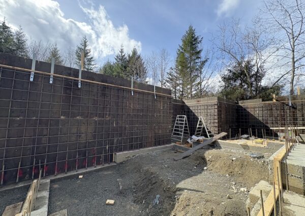 Foundation walls in Cobble Hill